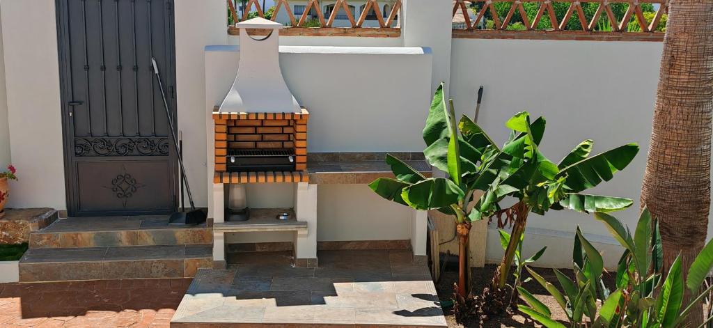 Disfruta de mis servicios